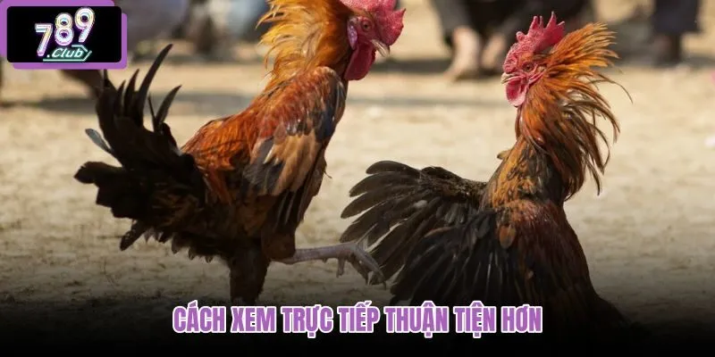 cach-xem-truc-tiep-thuan-tien-hon