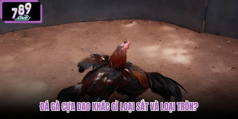 da-ga-cua-dao-khac-gi-loai-sat-va-loai-tron