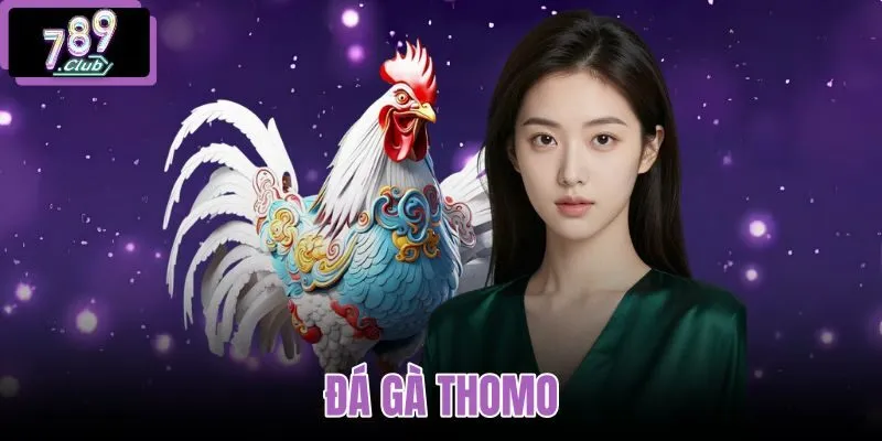 đá gà thomo