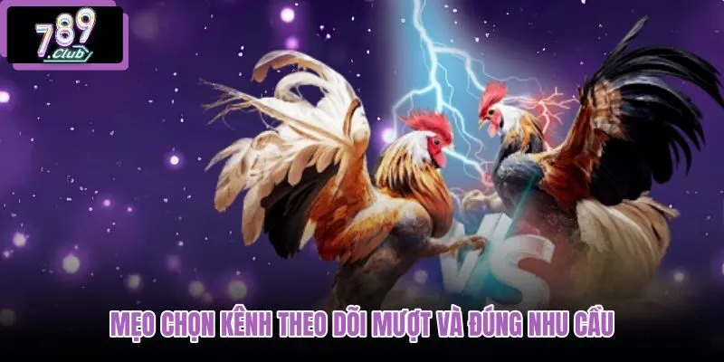 meo-chon-kenh-theo-doi-muot-va-dung-nhu-cau