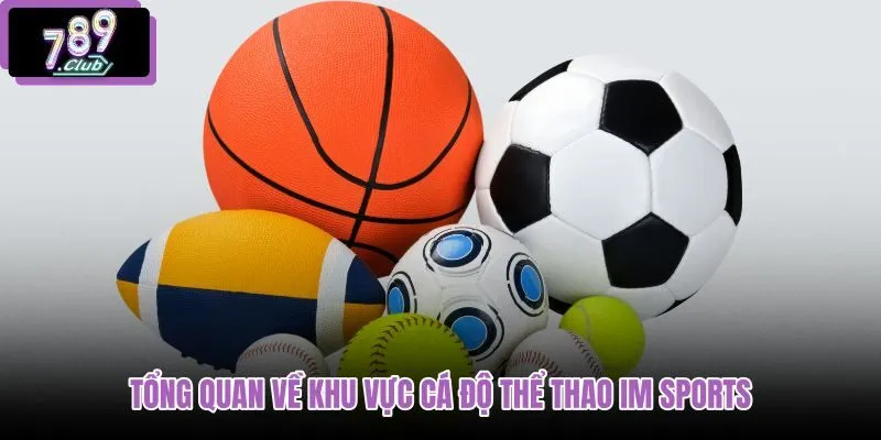 tong-quan-ve-khu-vuc-ca-do-the-thao-im-sports