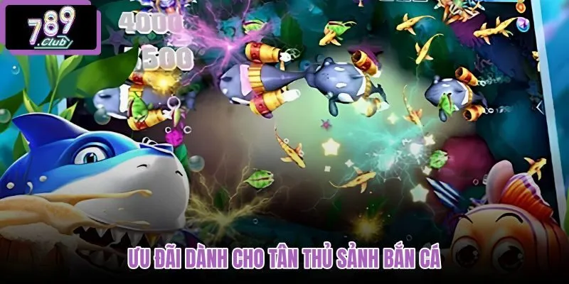 uu-dai-danh-cho-tan-thu-sanh-ban-ca